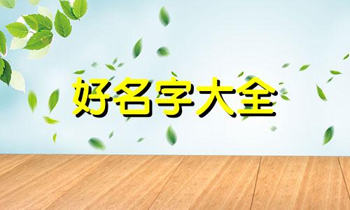 捡的猫如何起名字好听点