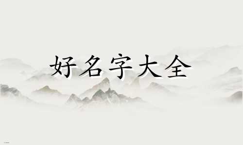 如何给菜起名字好听点呢