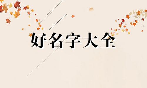 如何给美食博主起名字呢