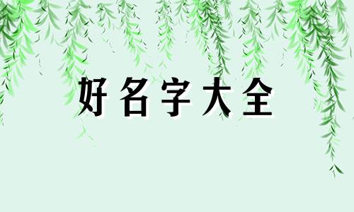 白色泰迪如何起名字男的