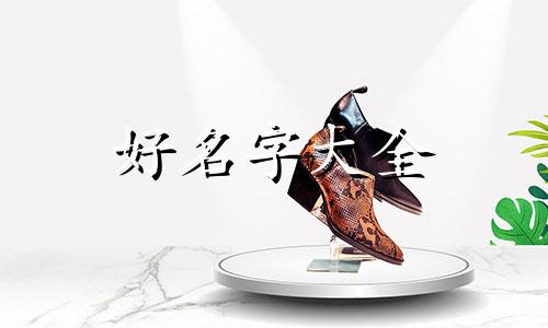 开个炒鸡店如何起名字大全