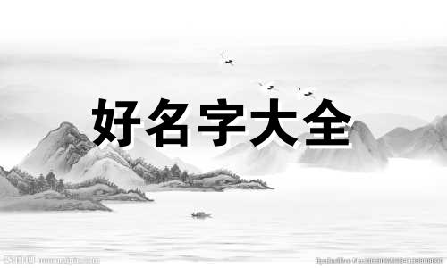 如何给寄居蟹起名称大全