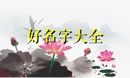 如何给奶茶起名称英文翻译