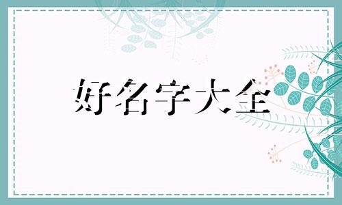 王者荣耀如何给花木兰的人起名