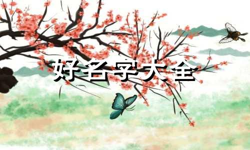 潘姓和吴姓如何起名的名字