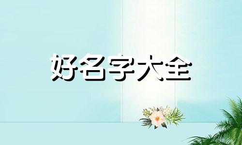 木兔如何起名字女孩子