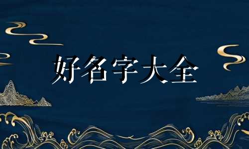 服装新号如何起名字吸引人