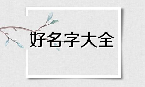 大家都是如何为散兵起名字的