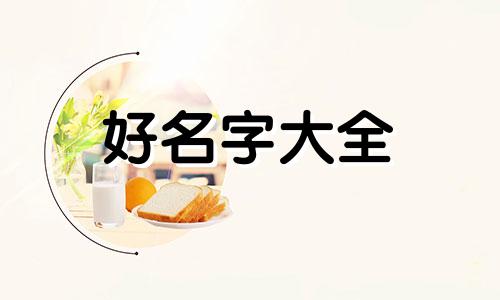 如何给鸡记号起名字呢女生