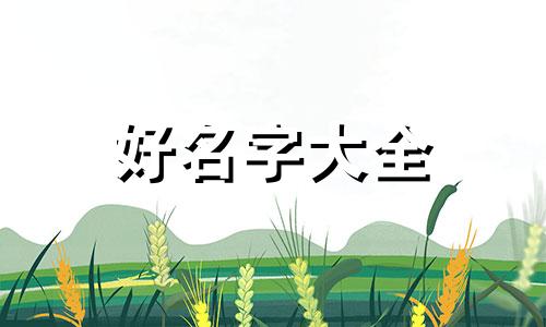 如何起名不撞名子的字有哪些