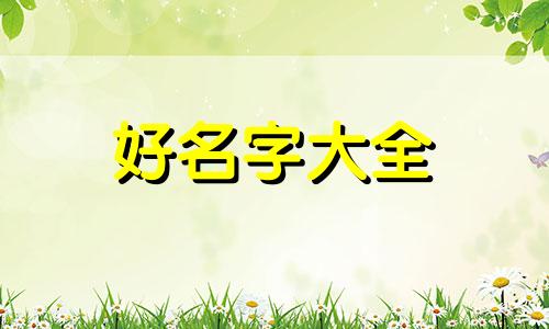 如何给匆匆读后感起名字