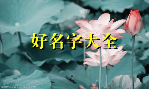 如何给丰收划为主题起名字