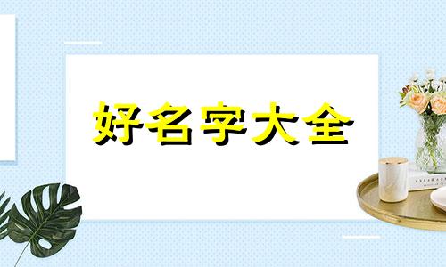 如何给皮卡丘起名称英文