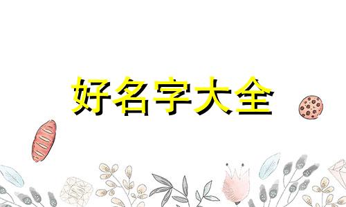 如何给猫起名字让它记住