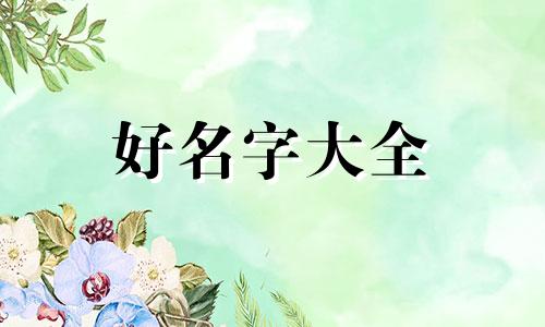 如何给宝宝起名字带王字旁