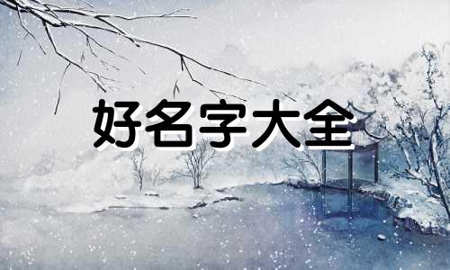 如何给流浪猫起名字女的