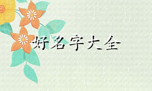 小飞侠该如何起名字呢英语