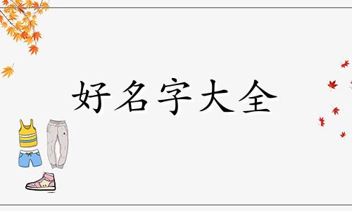 如何给网友起名字男孩子