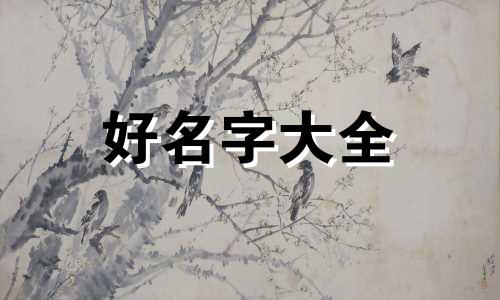 卖丝袜如何起名字吸引人