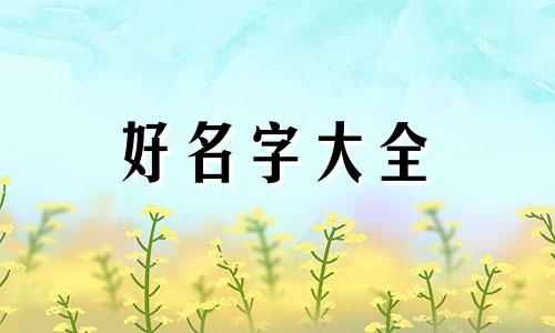 给猫起名如何发朋友圈说说