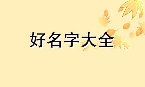 猫狗如何起名字好听男宝宝