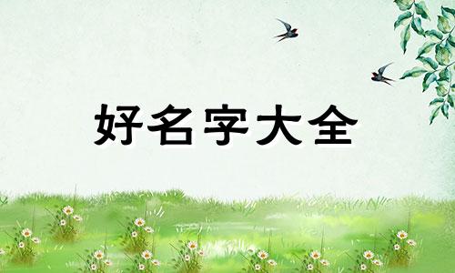 小狗如何起名霸气男生两个字