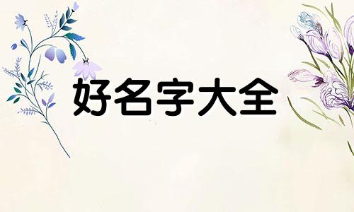 如何给有卷毛的狗狗起名字