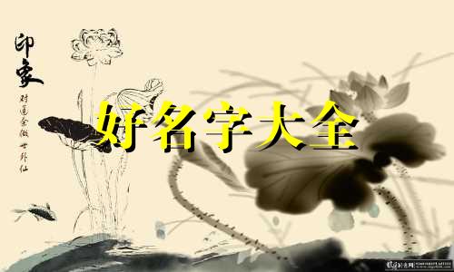 猪跟马合作如何起名字呢