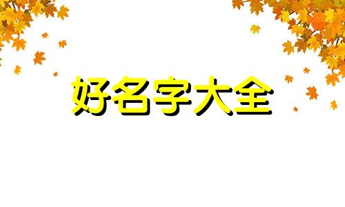 四字如何起名字好听女孩