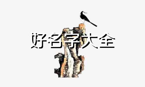 九龙饭店起名公司名字如何