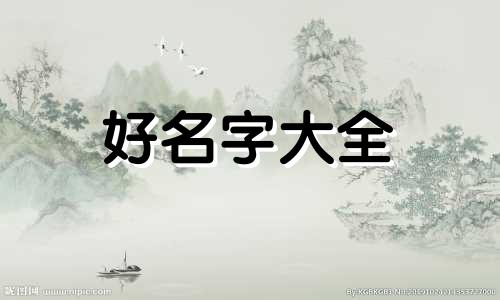 如何正确给幼儿起名字教案中班