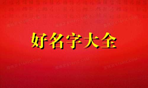 鼎新两个字如何起名的视频