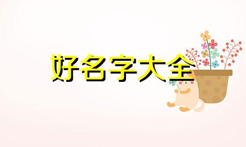 煨鸡店如何起名字好听点