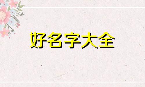 小泰迪如何起名字男宝宝