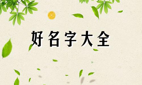 个体店上美团如何起名字