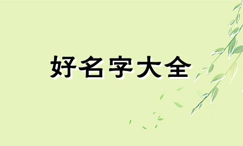 互联网公司应该如何起名字