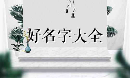 白色流浪狗如何起名字大全