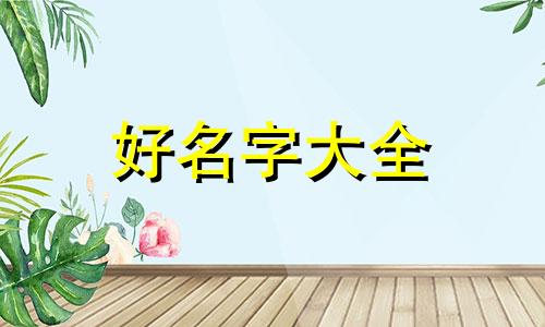 鹦鹉名字如何起名字好不好