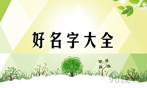 虎宝宝起名歆然如何取名字