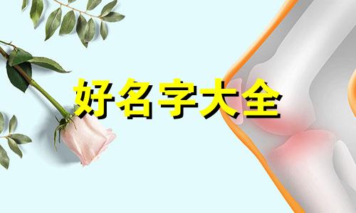 暴龙如何起名字好听的网名