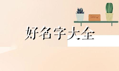 开一家卤菜店如何起名子