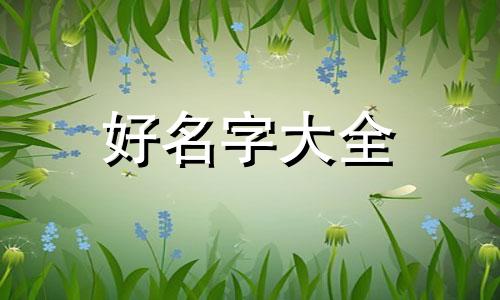 设计师工作室如何起名子