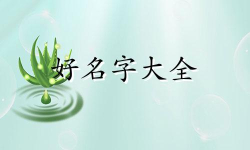 沈和崔如何起名字好听点