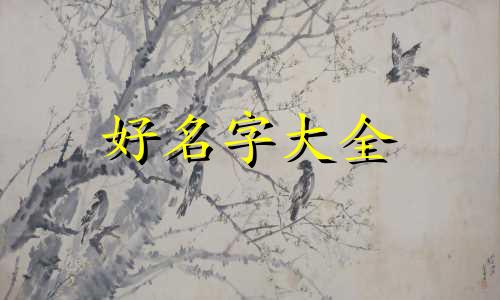 姓王虎宝宝用乔字起名如何