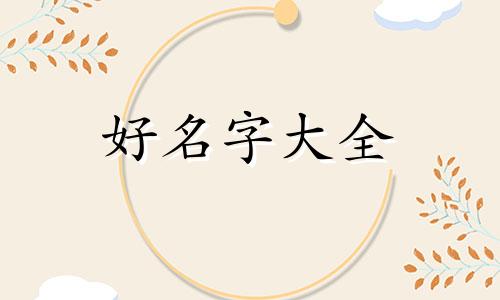 如何给柯基起名字女生用