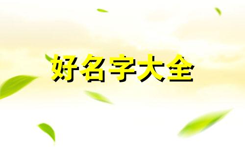 如何给猫咪起名子好听一点