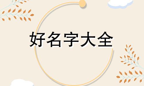 宣传片如何起名称好听