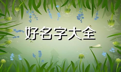 雁字公司如何起名好听一点