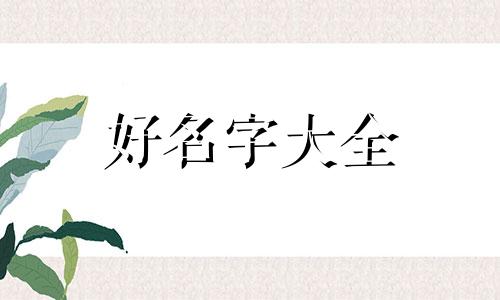 虎宝宝取名字如何起名字