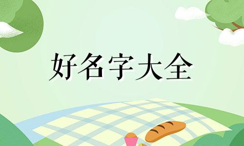萨摩耶如何起名字好听一点